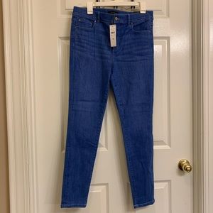 Ann Taylor The Skinny Jeans Size 10 NWT